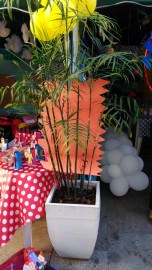 1217-img-20190701-wa0007.jpg 1217-img-20190701-wa0007.jpg