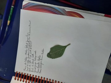 1741-2042229994378153909930958700238010664582368n.jpg 1741-2042229994378153909930958700238010664582368n.jpg