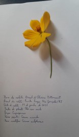 2164-2034344074378162409930104808870611355199232n.jpg 2164-2034344074378162409930104808870611355199232n.jpg