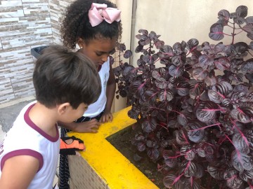 2238-img20190508wa0018.jpg 2238-img20190508wa0018.jpg