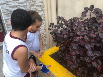 2607-img20190508wa0015.jpg 2607-img20190508wa0015.jpg