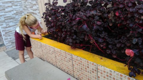 2856-img20190508wa0009.jpg 2856-img20190508wa0009.jpg