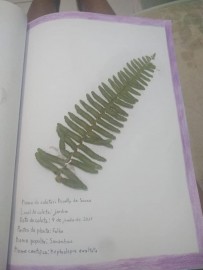 4068-2037342994378167909929552748053773274673974n.jpg 4068-2037342994378167909929552748053773274673974n.jpg