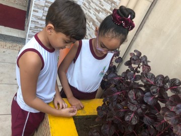 4309-img20190508wa0019.jpg 4309-img20190508wa0019.jpg