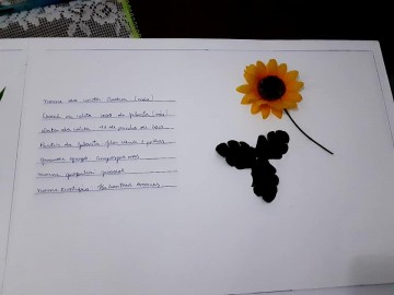 4322-2037811684378168376596176792528568862344063n.jpg 4322-2037811684378168376596176792528568862344063n.jpg