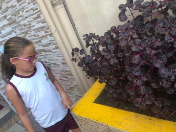 4681-img20190508wa0020.jpg 4681-img20190508wa0020.jpg