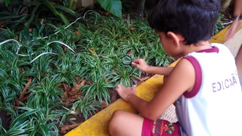 4691-img20190508wa0011.jpg 4691-img20190508wa0011.jpg