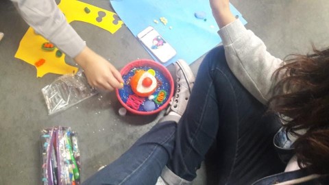 4898-414636511866154070132519675378354550996992n.jpg 4898-414636511866154070132519675378354550996992n.jpg