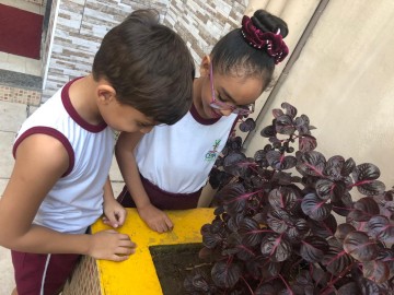 5682-img20190508wa0022.jpg 5682-img20190508wa0022.jpg