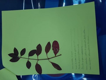 6465-2042031354378160476596967034892842941675285n.jpg 6465-2042031354378160476596967034892842941675285n.jpg