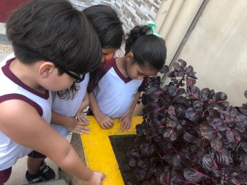 6619-img20190508wa0024.jpg 6619-img20190508wa0024.jpg