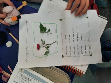 6634-2019636434378154609930883266137242211022615n.jpg 6634-2019636434378154609930883266137242211022615n.jpg