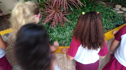 6741-img20190508wa0013.jpg 6741-img20190508wa0013.jpg