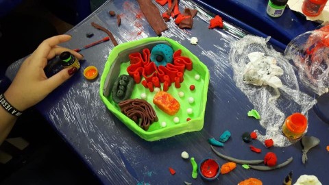 6996-4146789418661532034659394534059939160653824n.jpg 6996-4146789418661532034659394534059939160653824n.jpg