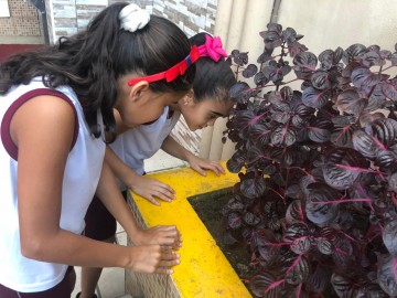 7159-img20190508wa0016.jpg 7159-img20190508wa0016.jpg