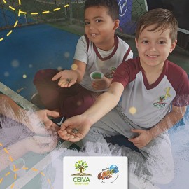 8381-308969833754173642690600214309631776105769n.jpg 8381-308969833754173642690600214309631776105769n.jpg