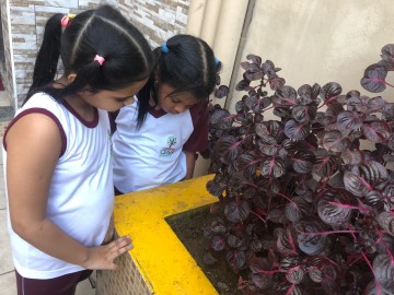 9173-img20190508wa0021.jpg 9173-img20190508wa0021.jpg