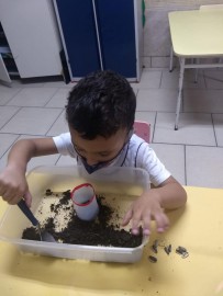 9611-1966191904260491455030538087908195870893995n.jpg 9611-1966191904260491455030538087908195870893995n.jpg